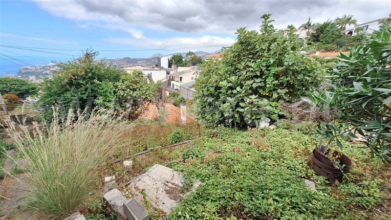 Terreno  Funchal, Funchal (Santa Maria Maior) - 1500913 - 5