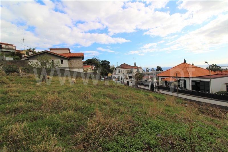 Terreno / Funchal, Imaculado Coração de Maria