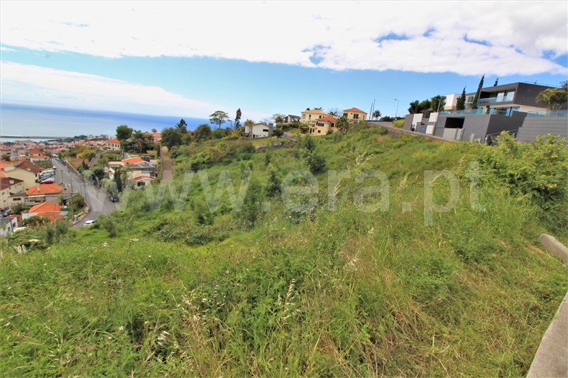 Terreno / Funchal, Imaculado Coração de Maria