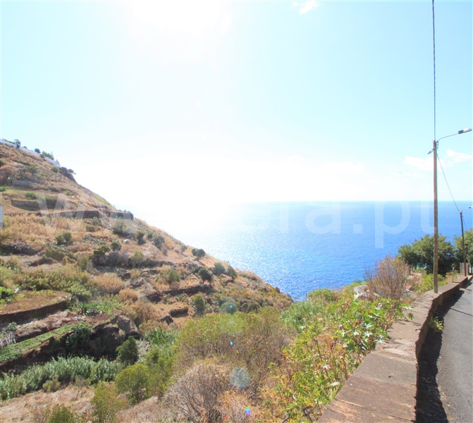 Terreno / Funchal, São Gonçalo