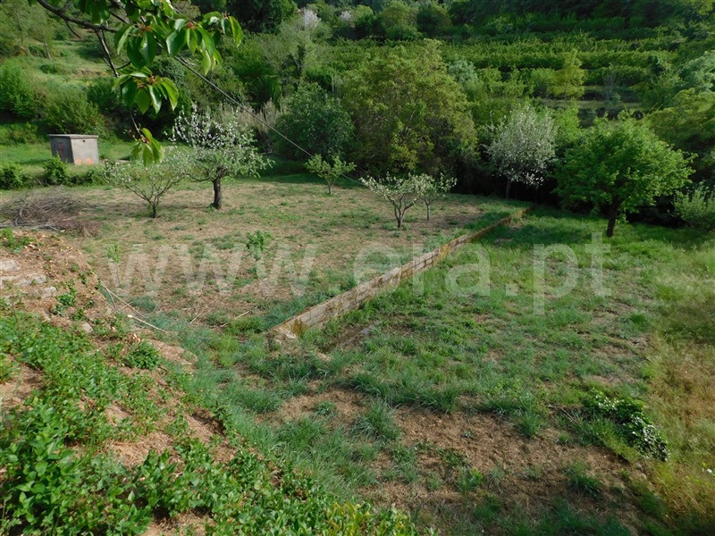 Terreno / Fundão, Alcaide