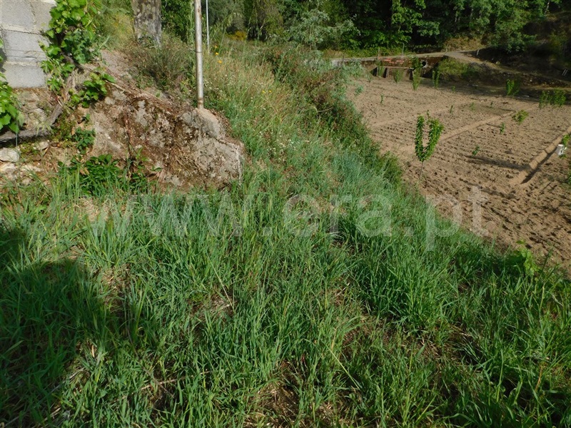 Terreno Rústico  Fundão, Alcaide - 1325387 - 10