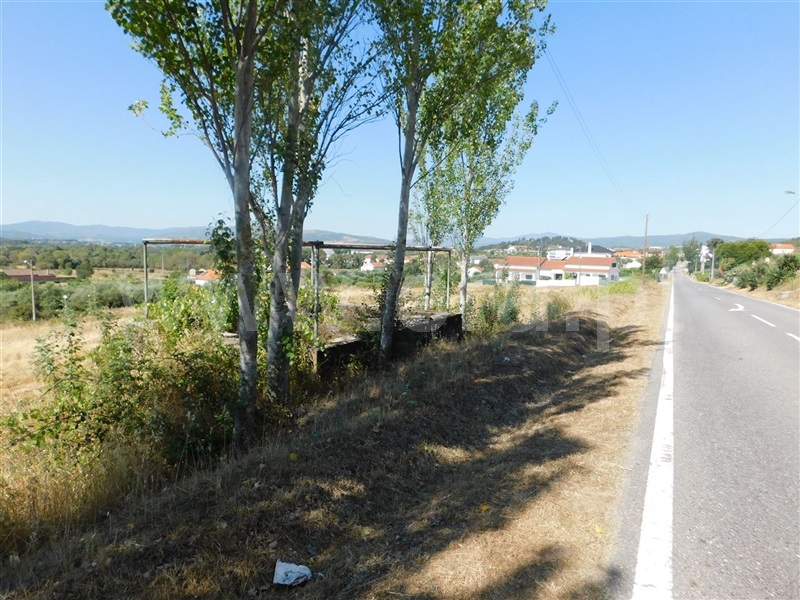 Terreno  Fundão, Alcaria - 1028563 - 2