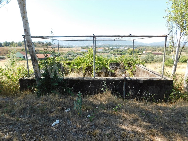 Terreno  Fundão, Alcaria - 1028563 - 3