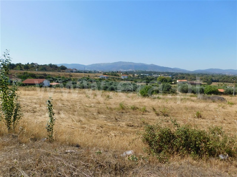 Terreno  Fundão, Alcaria - 1028563 - 4