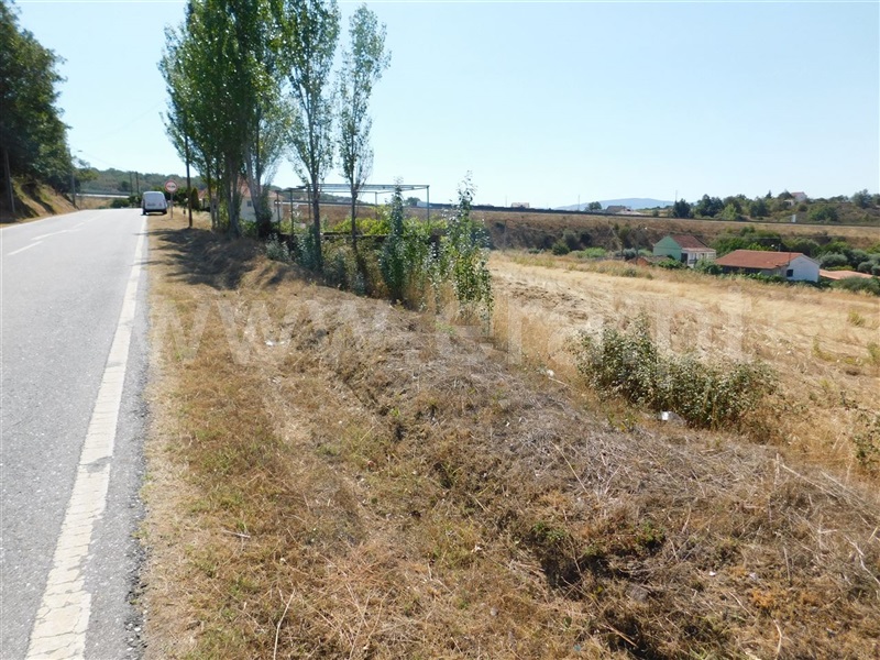Terreno  Fundão, Alcaria - 1028563 - 5