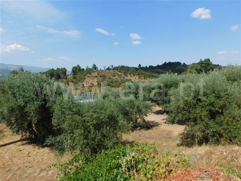 Terreno / Fundão, Alcaria