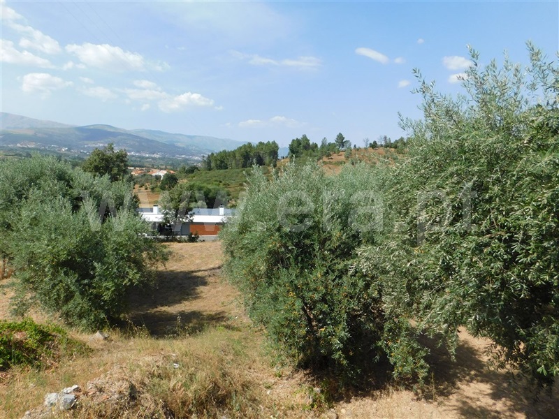 Terreno  Fundão, Alcaria - 1107933 - 2