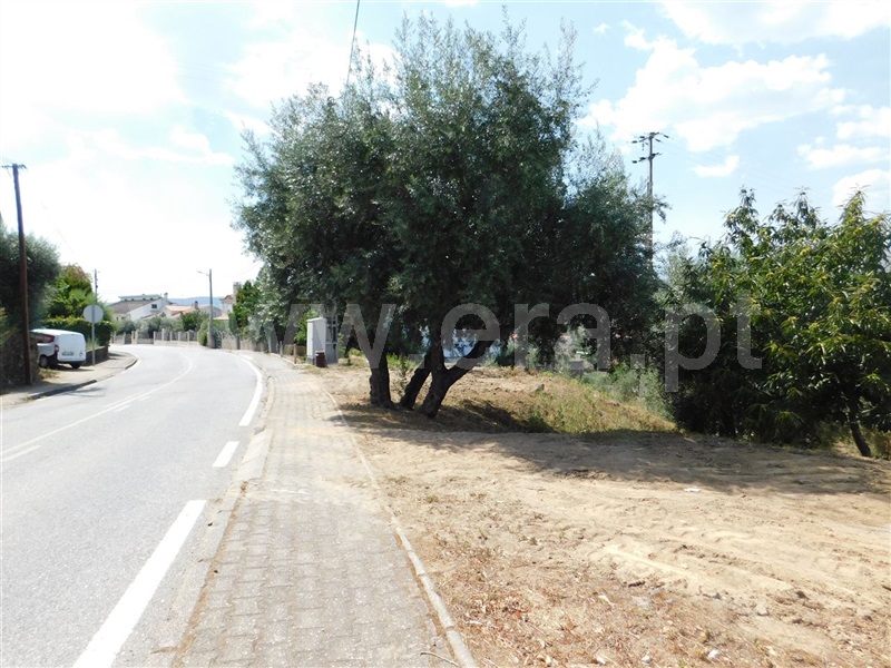 Terreno  Fundão, Alcaria - 1107933 - 3