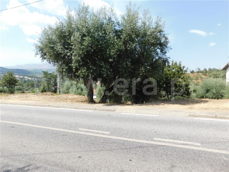 Terreno  Fundão, Alcaria - 1107933 - 5