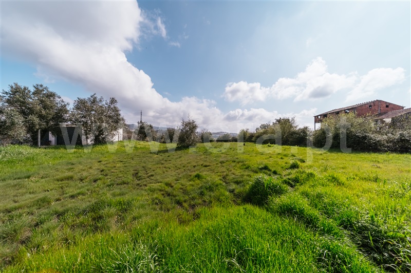 Terreno  Fundão, Alcaria - 931957 - 4