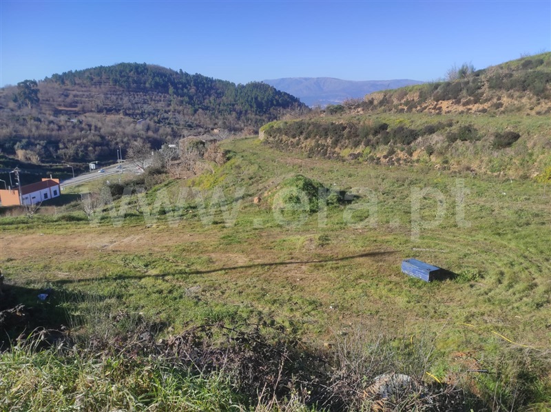Terreno / Fundão, Alcongosta