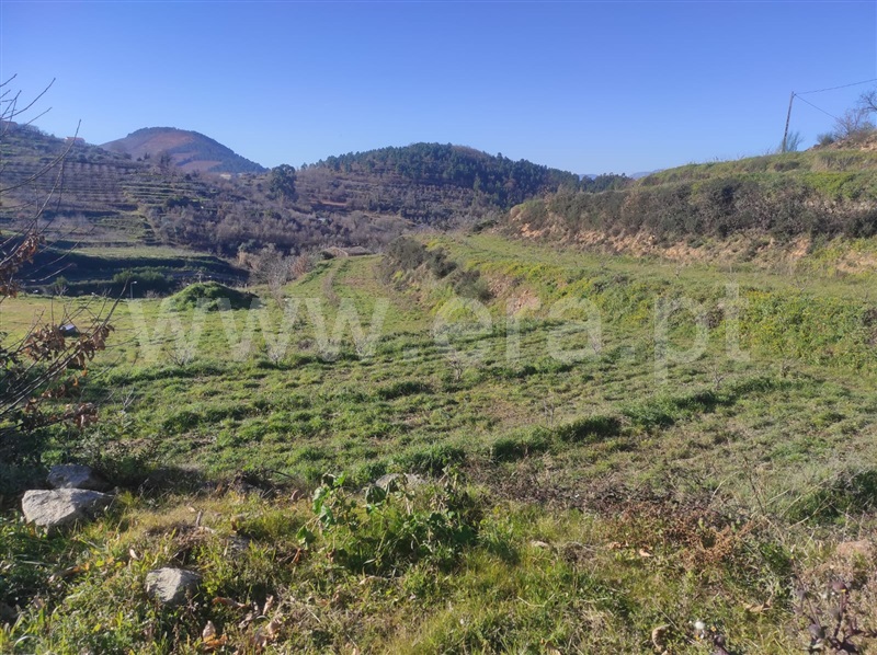 Terreno  Fundão, - 1302988 - 3