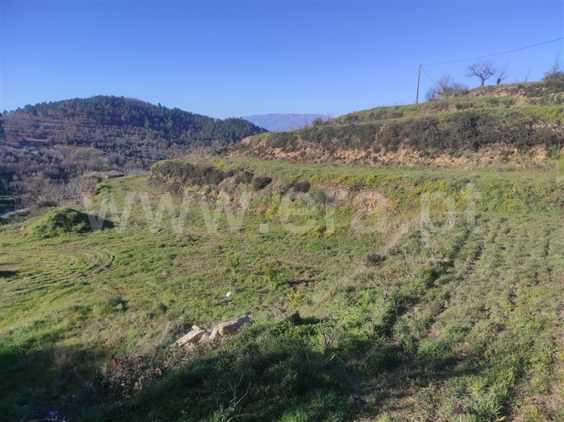 Terreno  Fundão, - 1302988 - 4