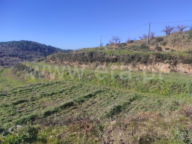 Terreno  Fundão, - 1302988 - 5