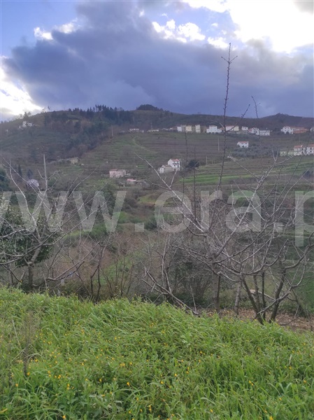 Terreno  Fundão, - 1302988 - 6