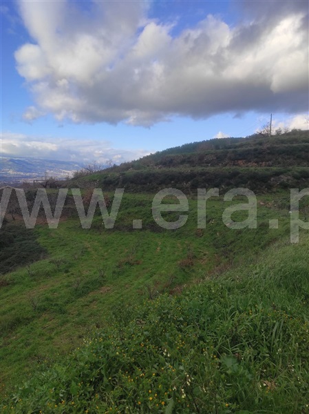 Terreno  Fundão, - 1302988 - 7