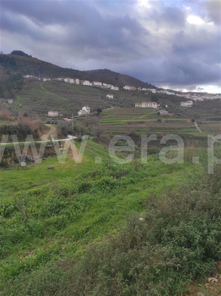 Terreno  Fundão, - 1302988 - 8