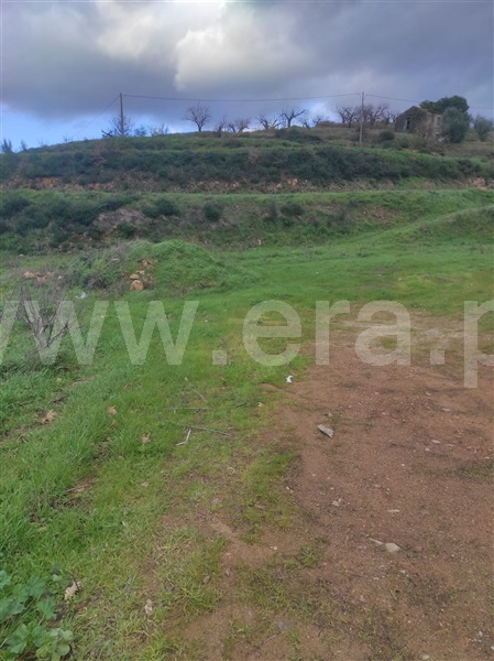 Terreno  Fundão, - 1302988 - 10