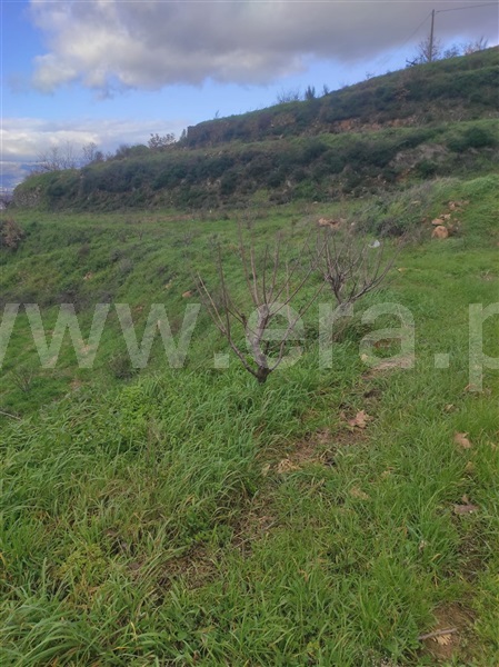 Terreno  Fundão, - 1302988 - 11