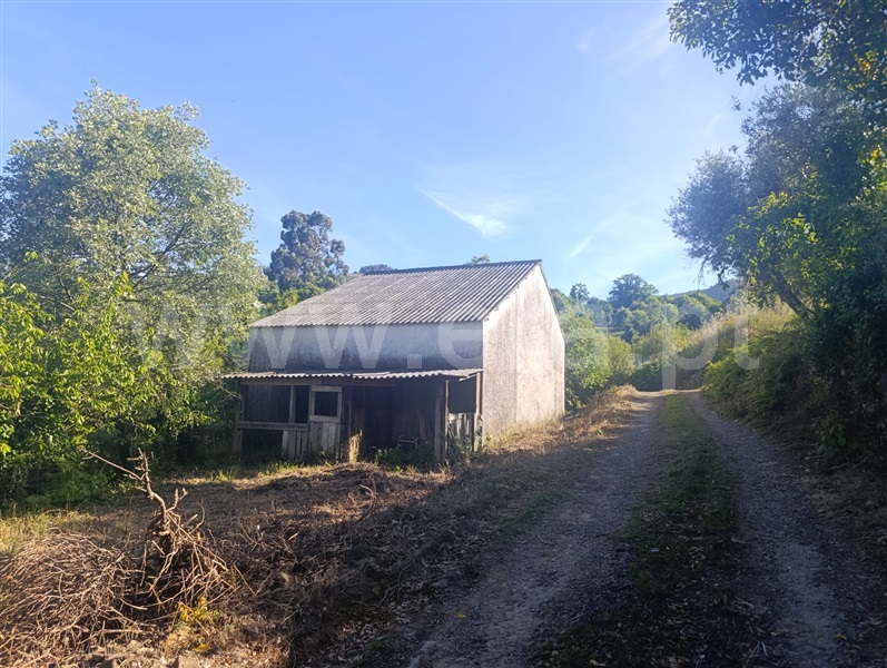 Terreno / Fundão, Alcongosta