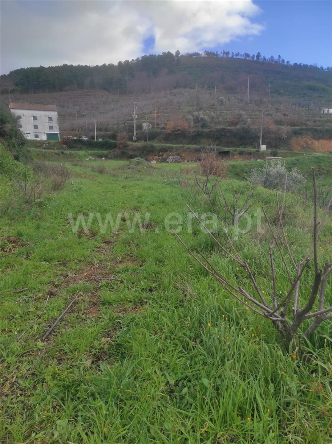Terreno em Fundão