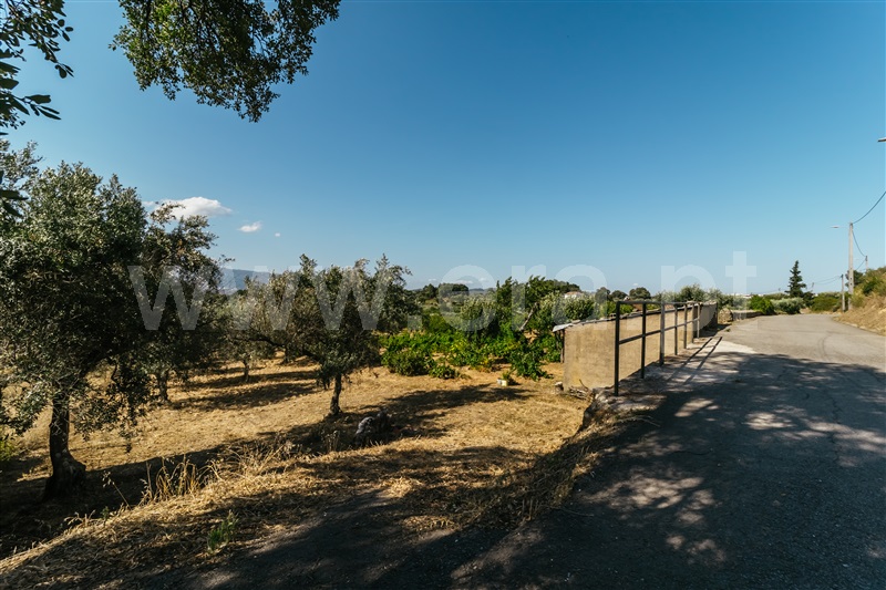 Terreno / Fundão, Aldeia de Joanes