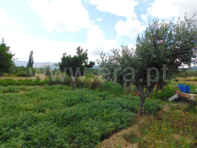 Terreno  Fundão, Alpedrinha - 1334903 - 2