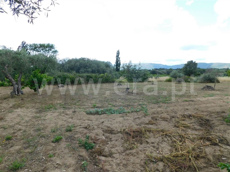 Terreno  Fundão, Alpedrinha - 1334903 - 3