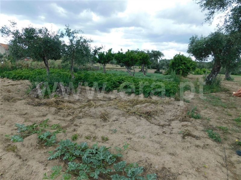 Terreno  Fundão, Alpedrinha - 1334903 - 4
