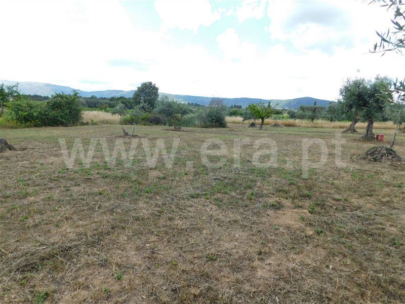 Terreno  Fundão, Alpedrinha - 1334903 - 7