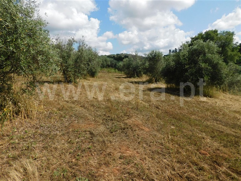 Terreno  Fundão, Alpedrinha - 1334904 - 3