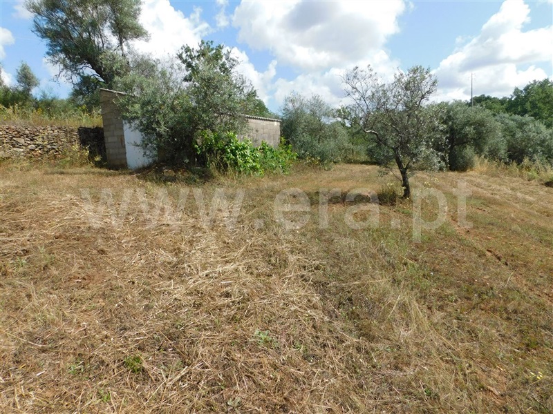 Terreno  Fundão, Alpedrinha - 1334904 - 4