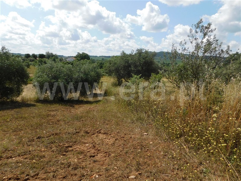 Terreno  Fundão, Alpedrinha - 1334904 - 5