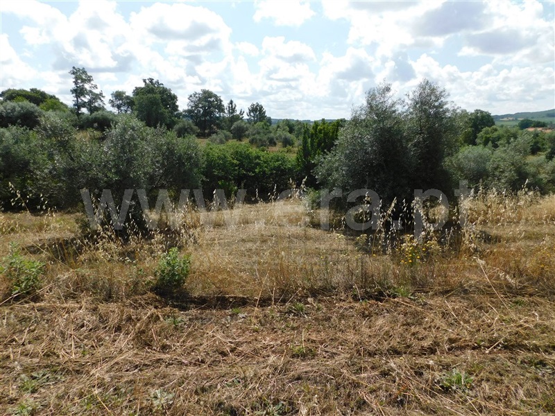 Terreno  Fundão, Alpedrinha - 1334904 - 6