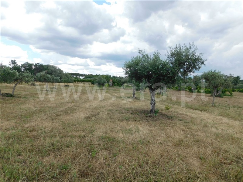 Terreno  Fundão, Alpedrinha - 1334904 - 7