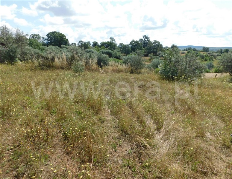 Terreno  Fundão, Alpedrinha - 1334904 - 8