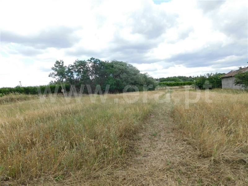 Terreno  Fundão, Alpedrinha - 1334904 - 9