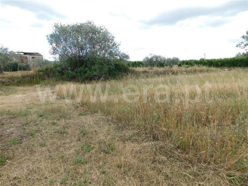 Terreno  Fundão, Alpedrinha - 1334904 - 10