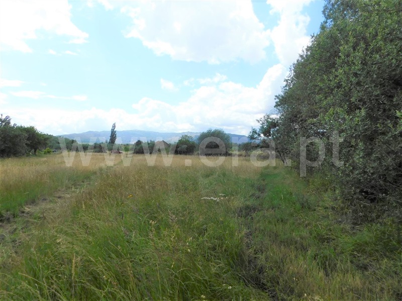Terreno  Fundão, Alpedrinha - 1334904 - 11