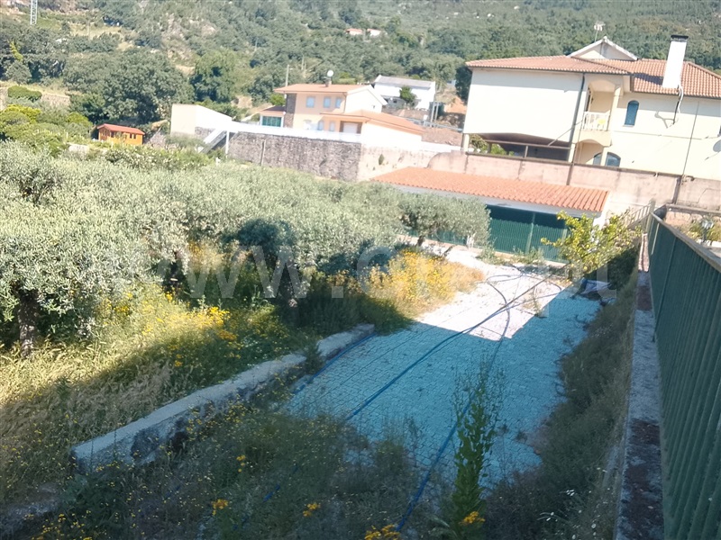 Terreno / Fundão, Alpedrinha