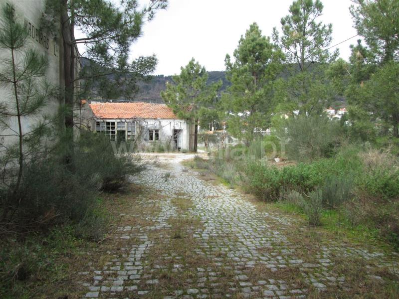 Terreno / Fundão, Alpedrinha