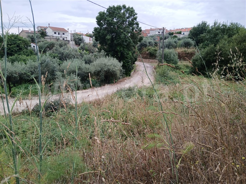 Terreno  Fundão, Atalaia do Campo - 1412016 - 4