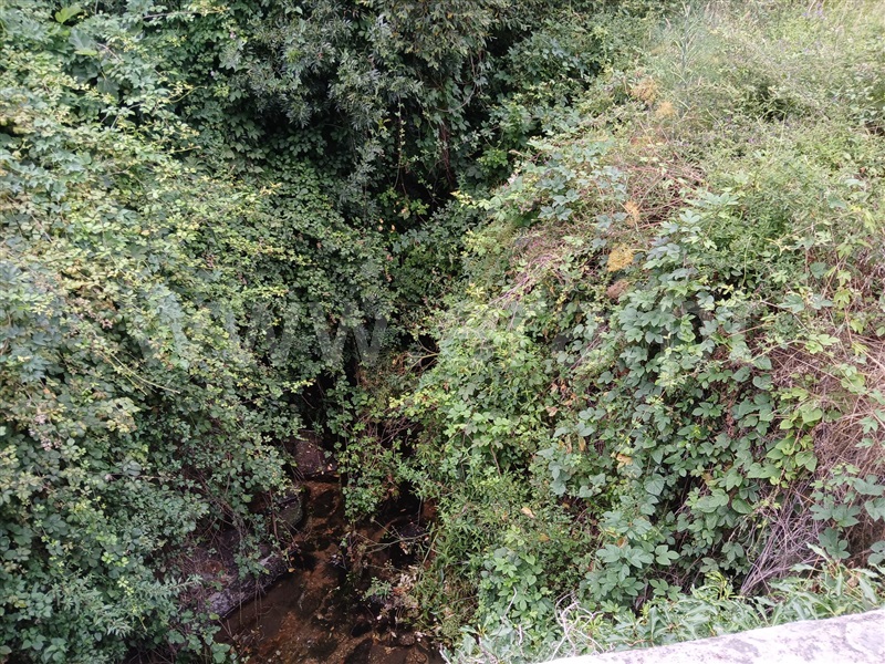 Terreno  Fundão, Atalaia do Campo - 1412016 - 13