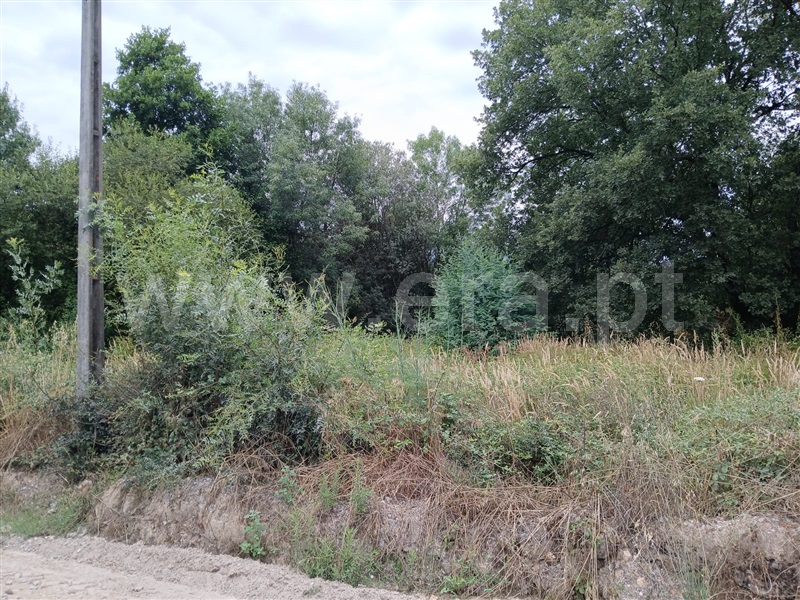 Terreno  Fundão, Atalaia do Campo - 1412016 - 14