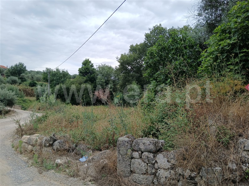 Terreno / Fundão, Atalaia do Campo