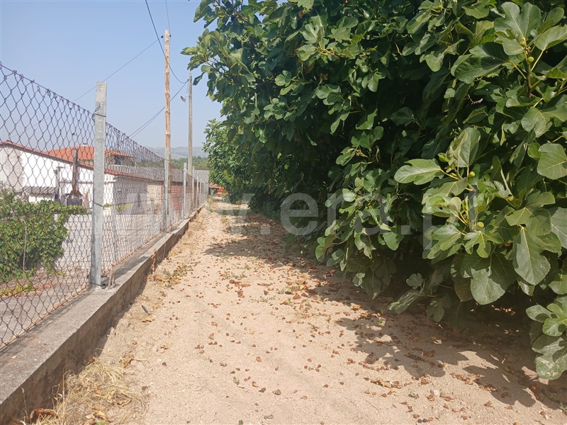Lote  Fundão, Atalaia do Campo - 1500215 - 4