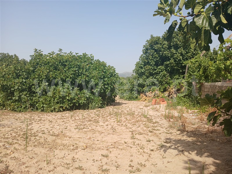 Lote  Fundão, Atalaia do Campo - 1500215 - 6