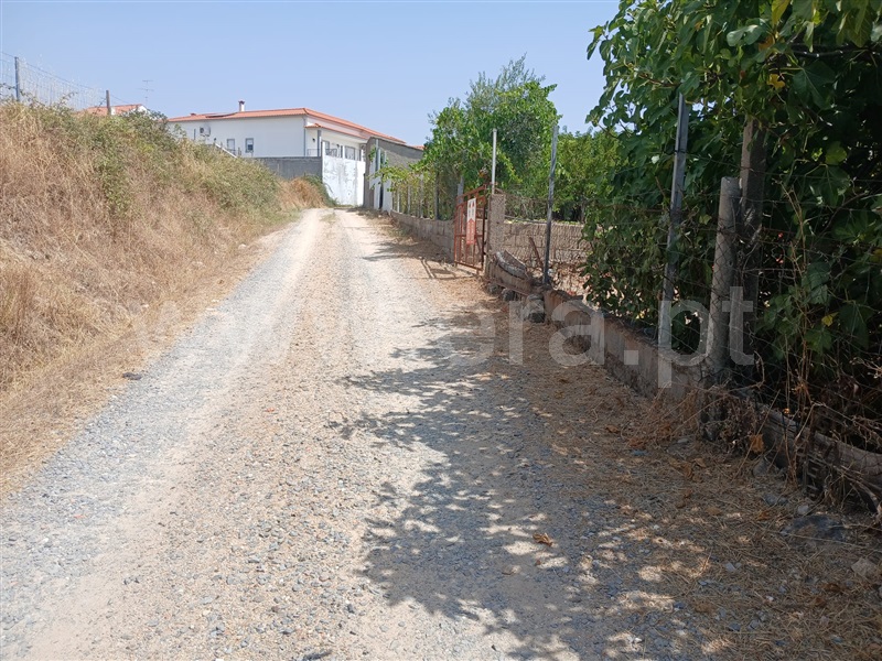 Lote  Fundão, Atalaia do Campo - 1500215 - 9