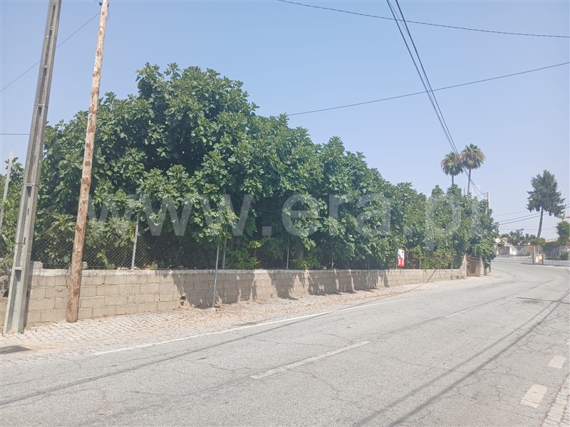 Lote  Fundão, Atalaia do Campo - 1500215 - 10